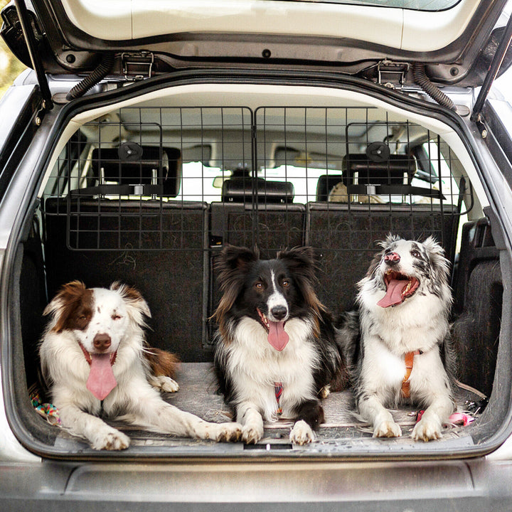 Car SUV Dog Barrier Vehicles Pet Divider Gate for Trunk Cargo Area Rust-Proof Image 3