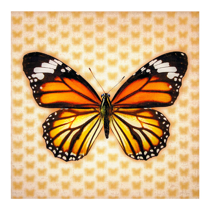 5D Multi-Dimensional Monrach Butterfly Wall Art Print on Strong Polycarbonate Panel - Lenticular Artwork by Matashi Image 1