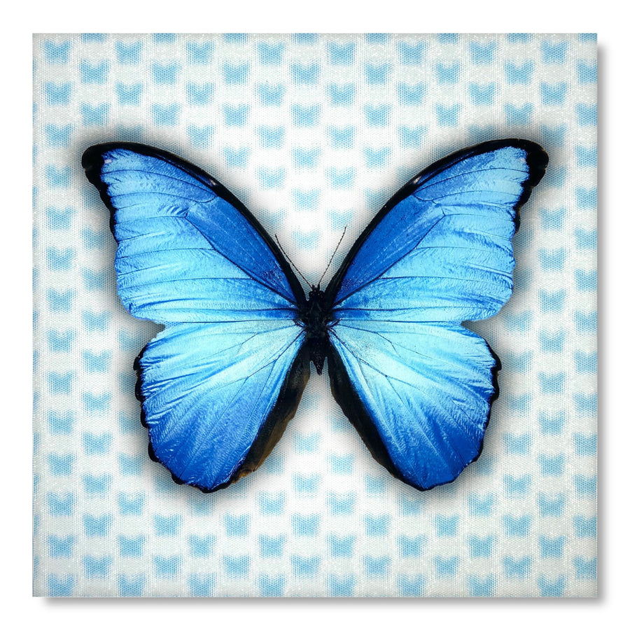 Multi-Dimensional 5D Blue Butterfly Wall Art Print on Strong Polycarbonate Panel w Vibrant Colors - Lenticular Artwork Image 1