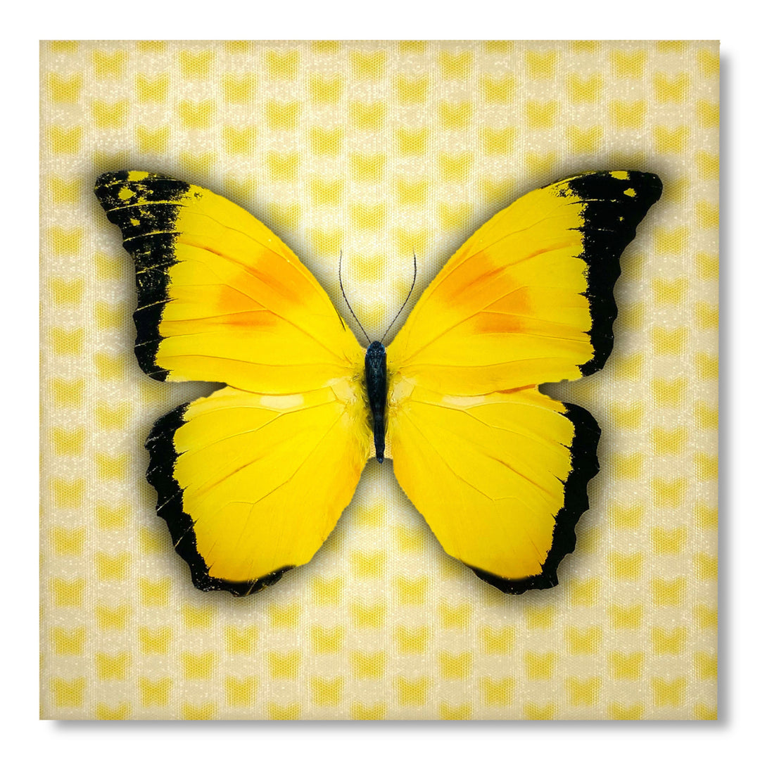 5D Multi-Dimensional Yellow Butterfly Wall Art Print on Strong Polycarbonate Panel - Immersive, Lenticular Artwork by Image 1