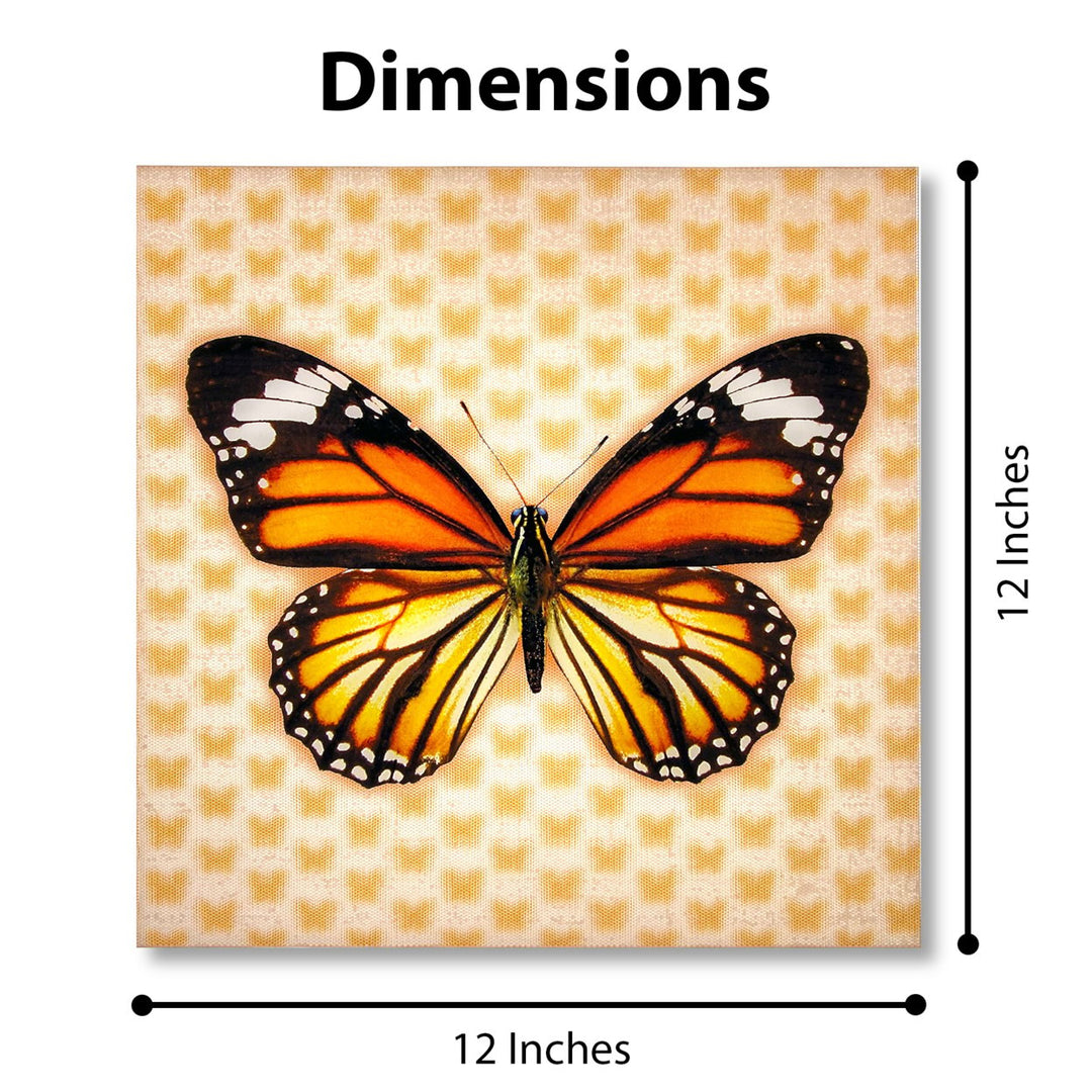 5D Multi-Dimensional Monrach Butterfly Wall Art Print on Strong Polycarbonate Panel - Lenticular Artwork by Matashi Image 8