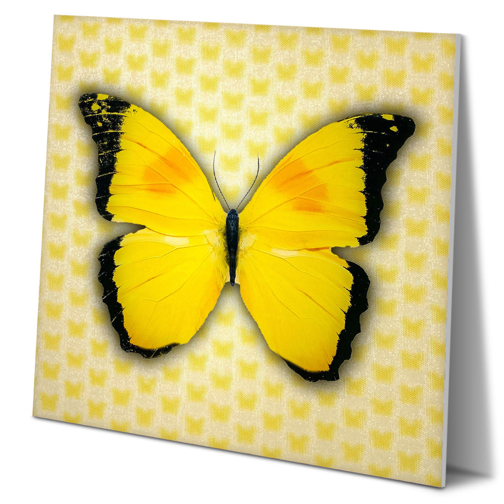 5D Multi-Dimensional Yellow Butterfly Wall Art Print on Strong Polycarbonate Panel - Immersive, Lenticular Artwork by Image 2