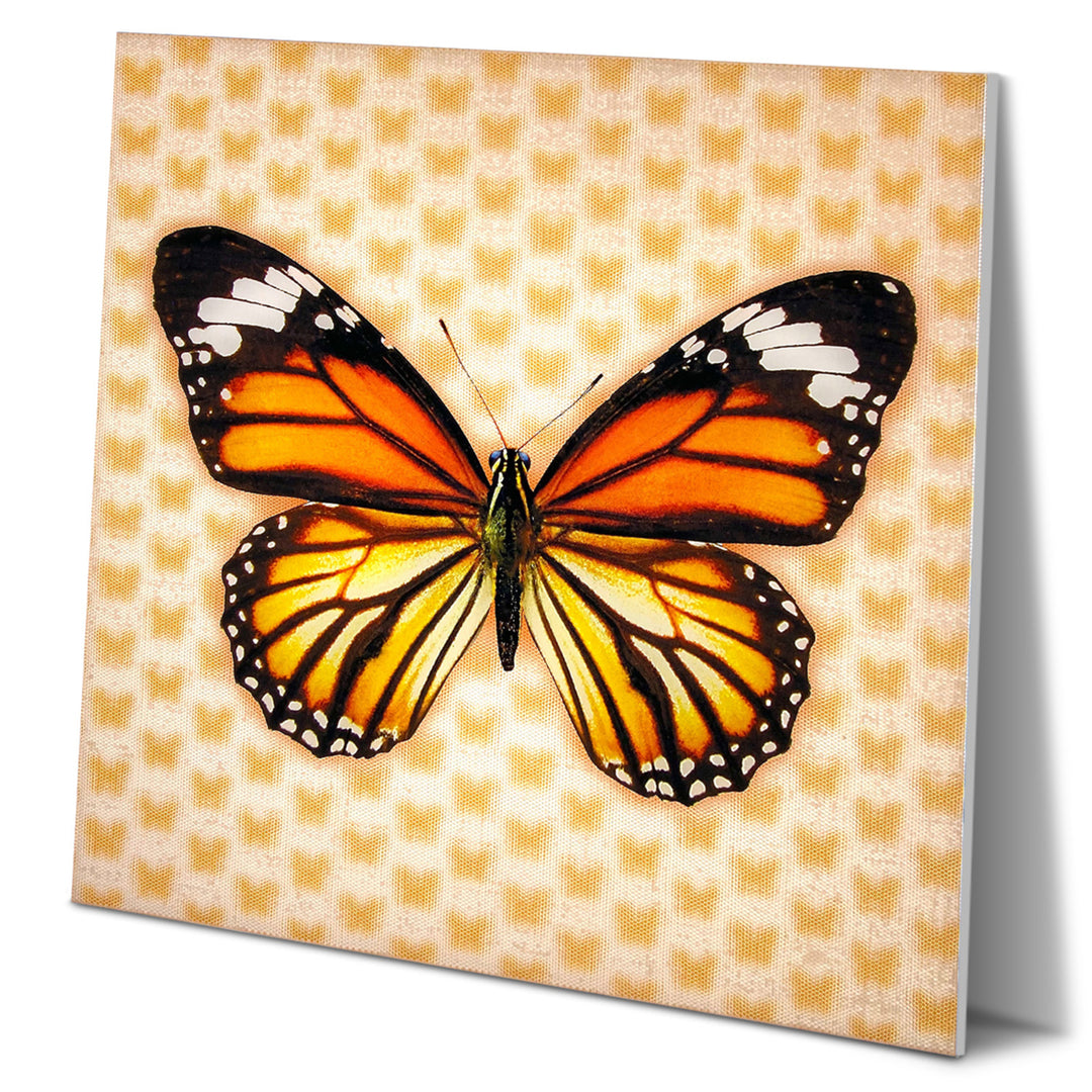 Matashi Multi-Dimensional Custom Made 5D Monrach Butterfly Wall Art Print on Strong Polycarbonate Panel with Vibrant Image 2