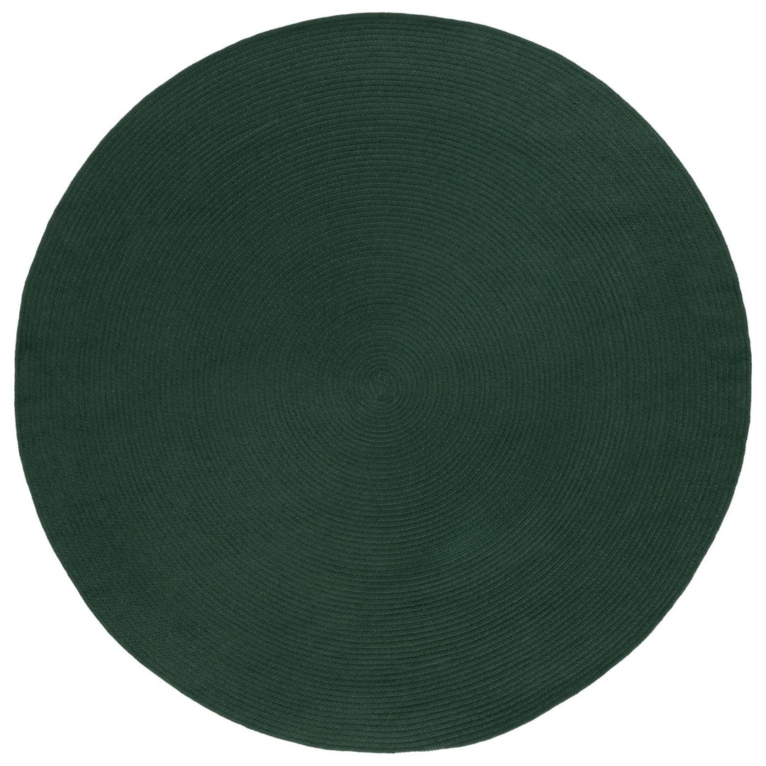 SAFAVIEH BRD402Y Braided Dark Green Image 1