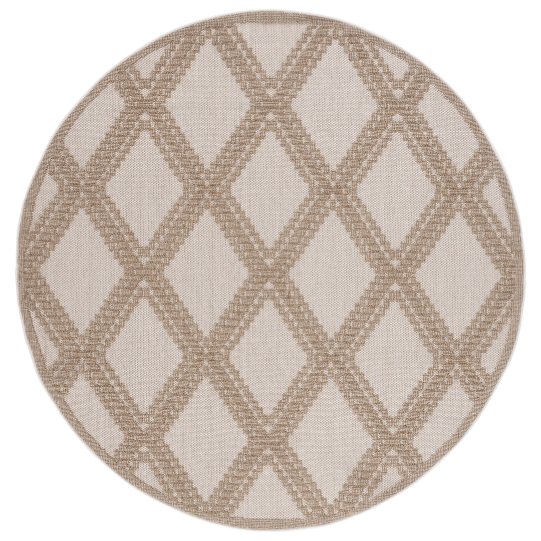 Safavieh GLB226B Global Beige / Brown Image 10