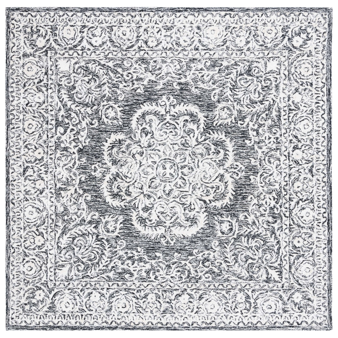 Safavieh PRE305Z Precious Black / Ivory Image 12