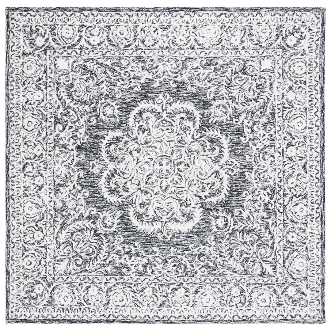 Safavieh PRE305Z Precious Black / Ivory Image 1