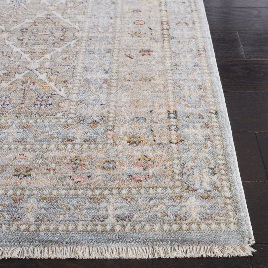 Safavieh PRN915A Princeton Ivory / Blue Image 3