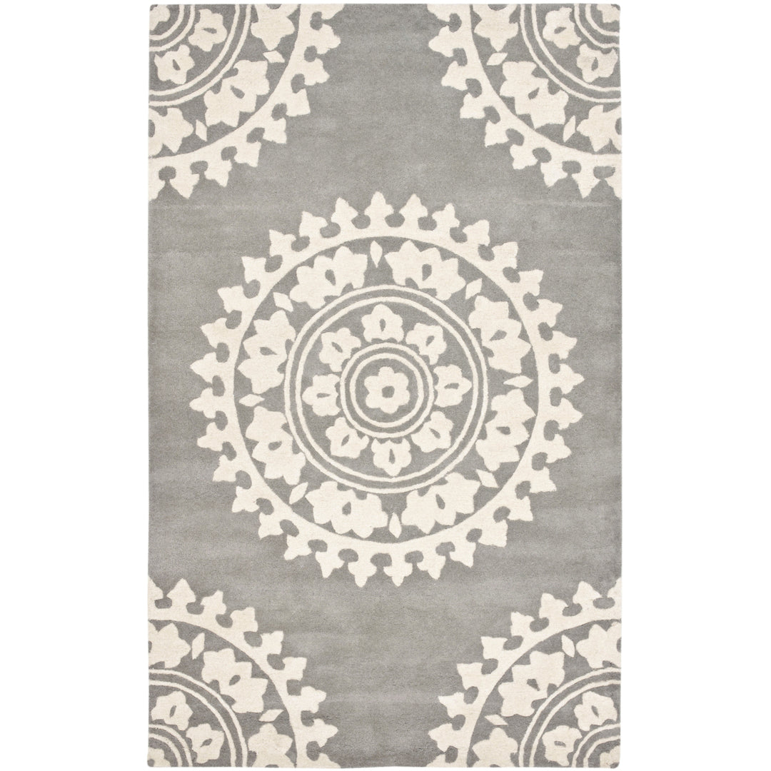 SAFAVIEH SOH732K Soho Light Grey / Ivory Image 4