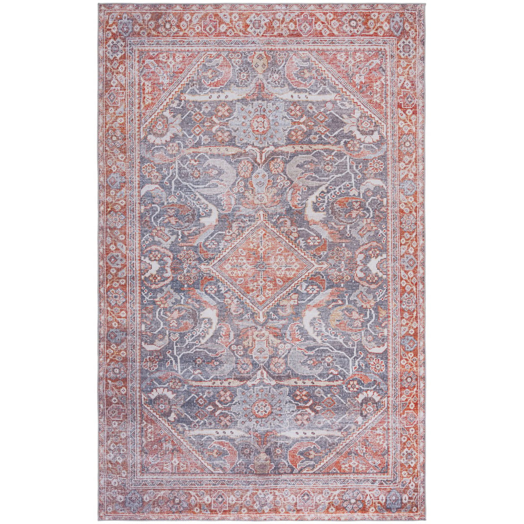 Safavieh TSN125F Tucson Grey / Rust Image 2