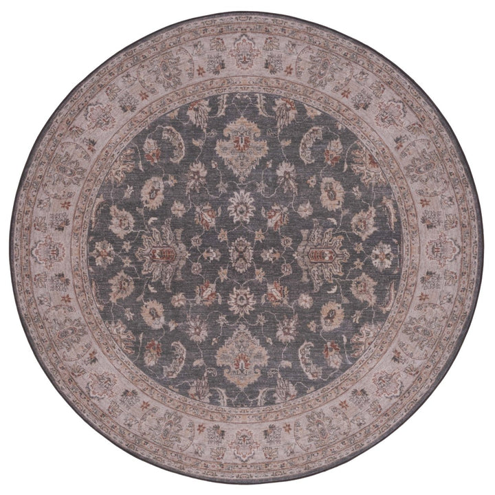 SAFAVIEH TSN111G Tucson Dark Grey / Beige Image 1