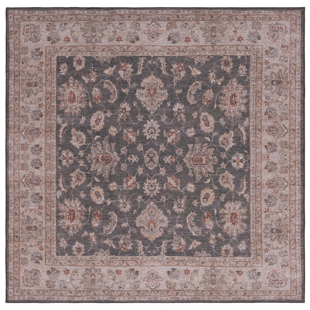 SAFAVIEH TSN111G Tucson Dark Grey / Beige Image 4