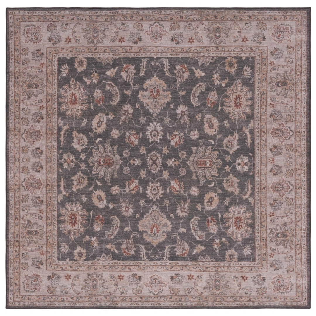 SAFAVIEH TSN111G Tucson Dark Grey / Beige Image 1