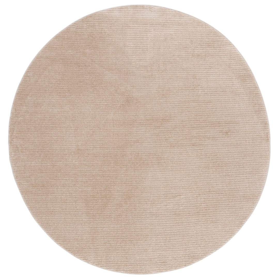 SAFAVIEH VSN102A Vision Beige Image 3