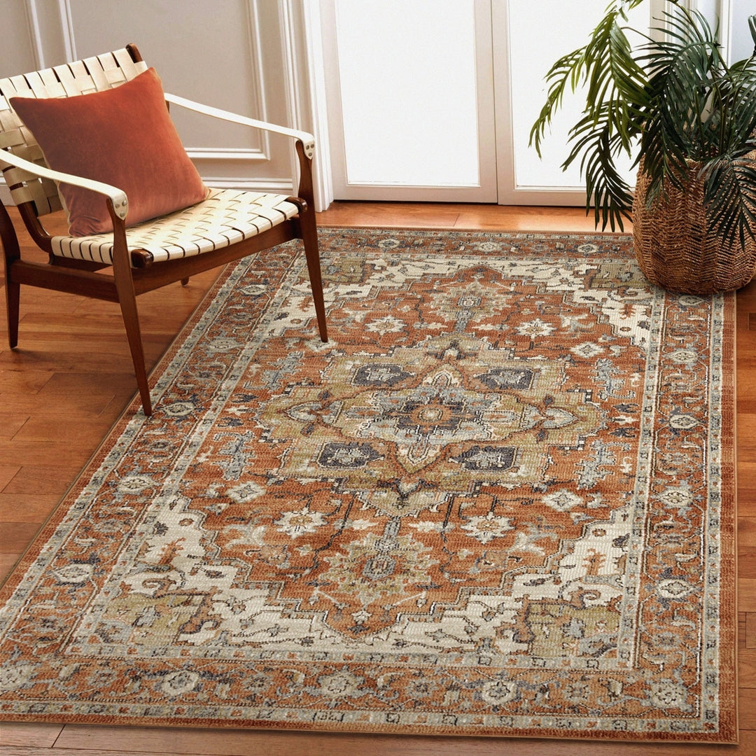 Liora Manne Ariana Heriz Indoor Area Rug Clay Image 1