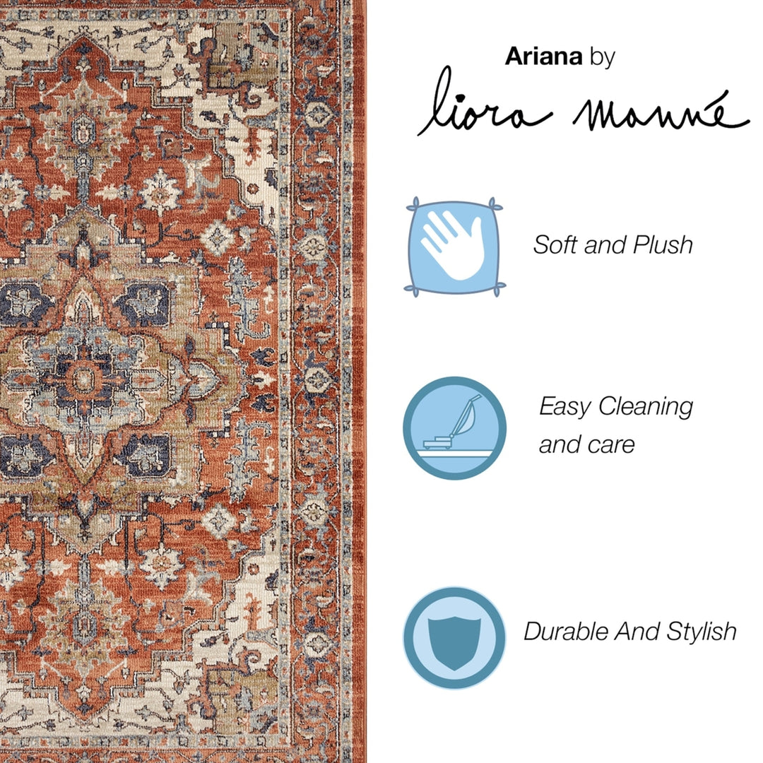 Liora Manne Ariana Heriz Indoor Area Rug Clay Image 3