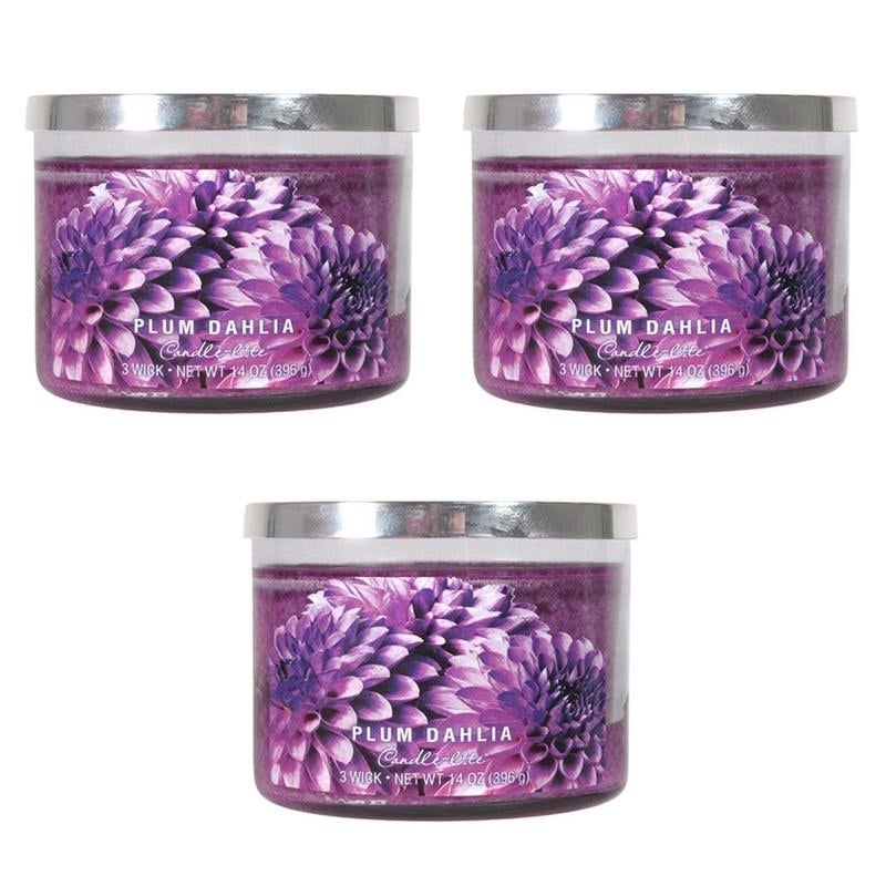 Candle-Lite 3 Wick Candle Jar Plum Dahlia 14 Oz Pack of 3 Scented Candles Image 1