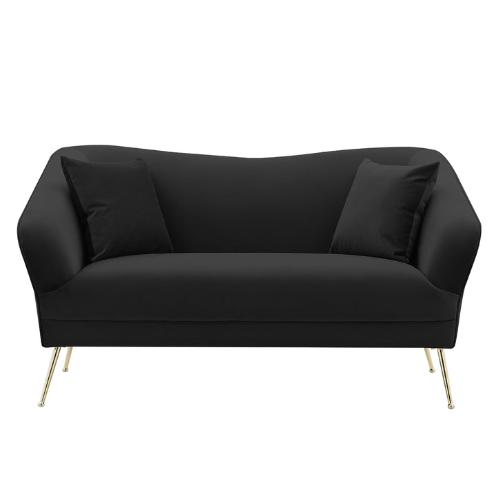 Iconic Home Ember Loveseat Velvet Upholstered Tight Seat Back Design Flared Gold Tone Metal Legs with 2 Decorative Image 4