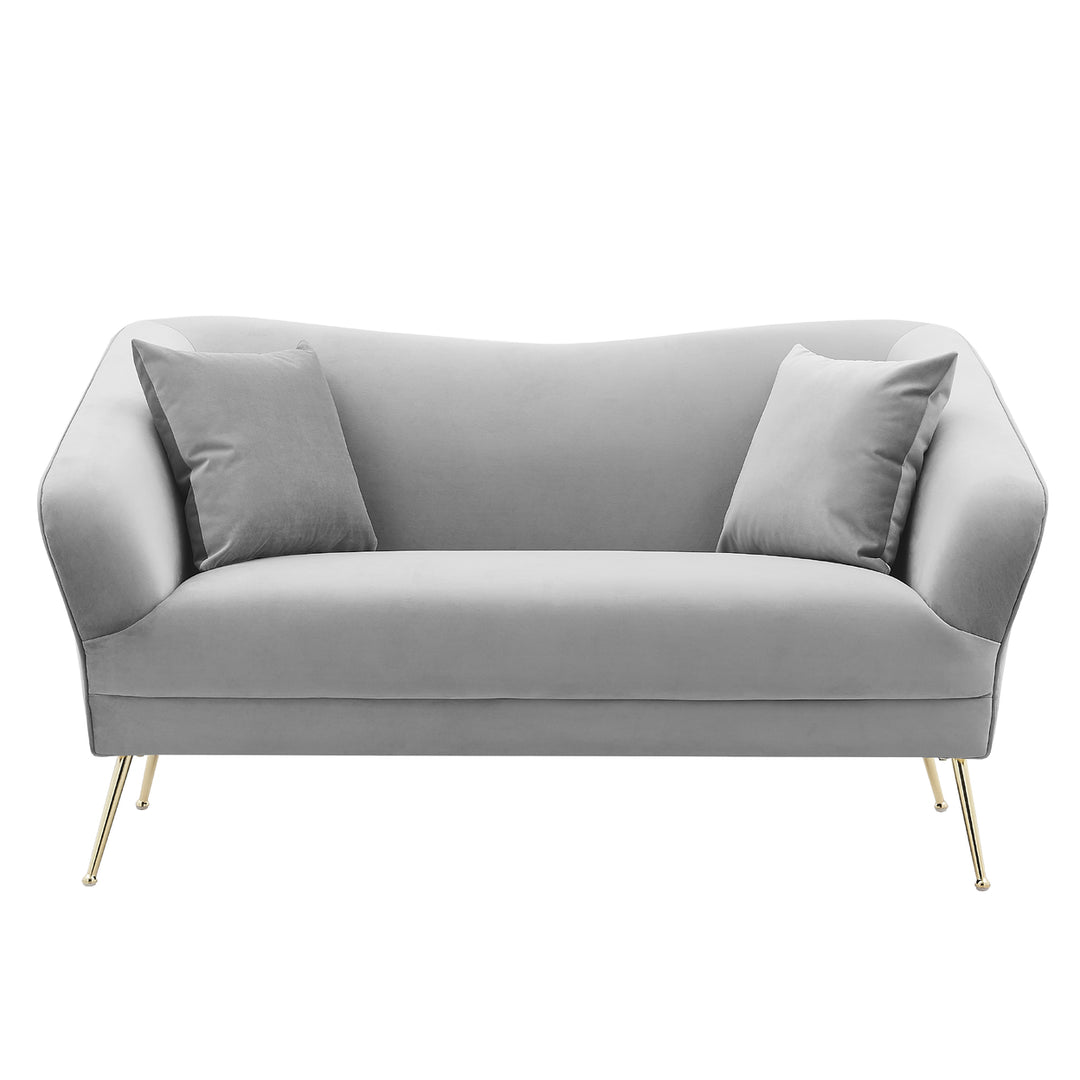 Iconic Home Ember Loveseat Velvet Upholstered Tight Seat Back Design Flared Gold Tone Metal Legs with 2 Decorative Image 5