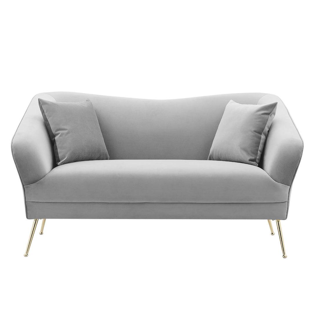 Iconic Home Ember Loveseat Velvet Upholstered Tight Seat Back Design Flared Gold Tone Metal Legs with 2 Decorative Image 1