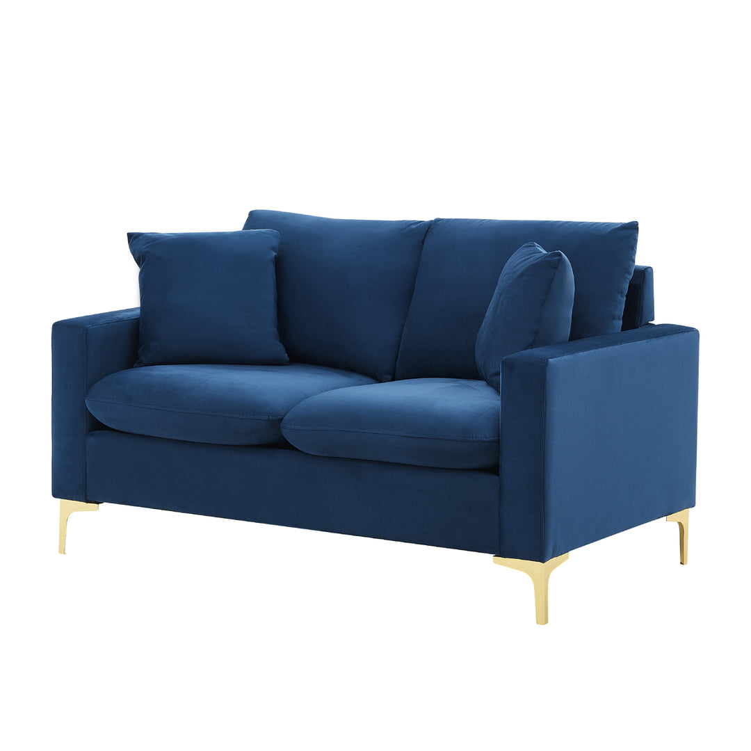 Iconic Home Roxi Loveseat Velvet Upholstered Multi-Cushion Seat Gold Tone Metal Y-Legs with 2 Decorative Pillows Image 2