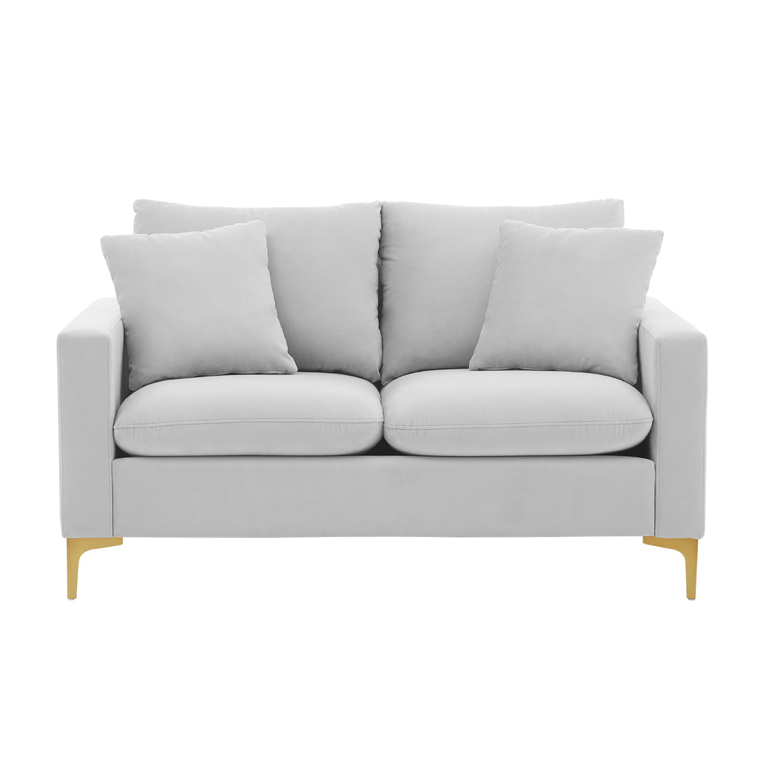 Iconic Home Roxi Loveseat Velvet Upholstered Multi-Cushion Seat Gold Tone Metal Y-Legs with 2 Decorative Pillows Image 5