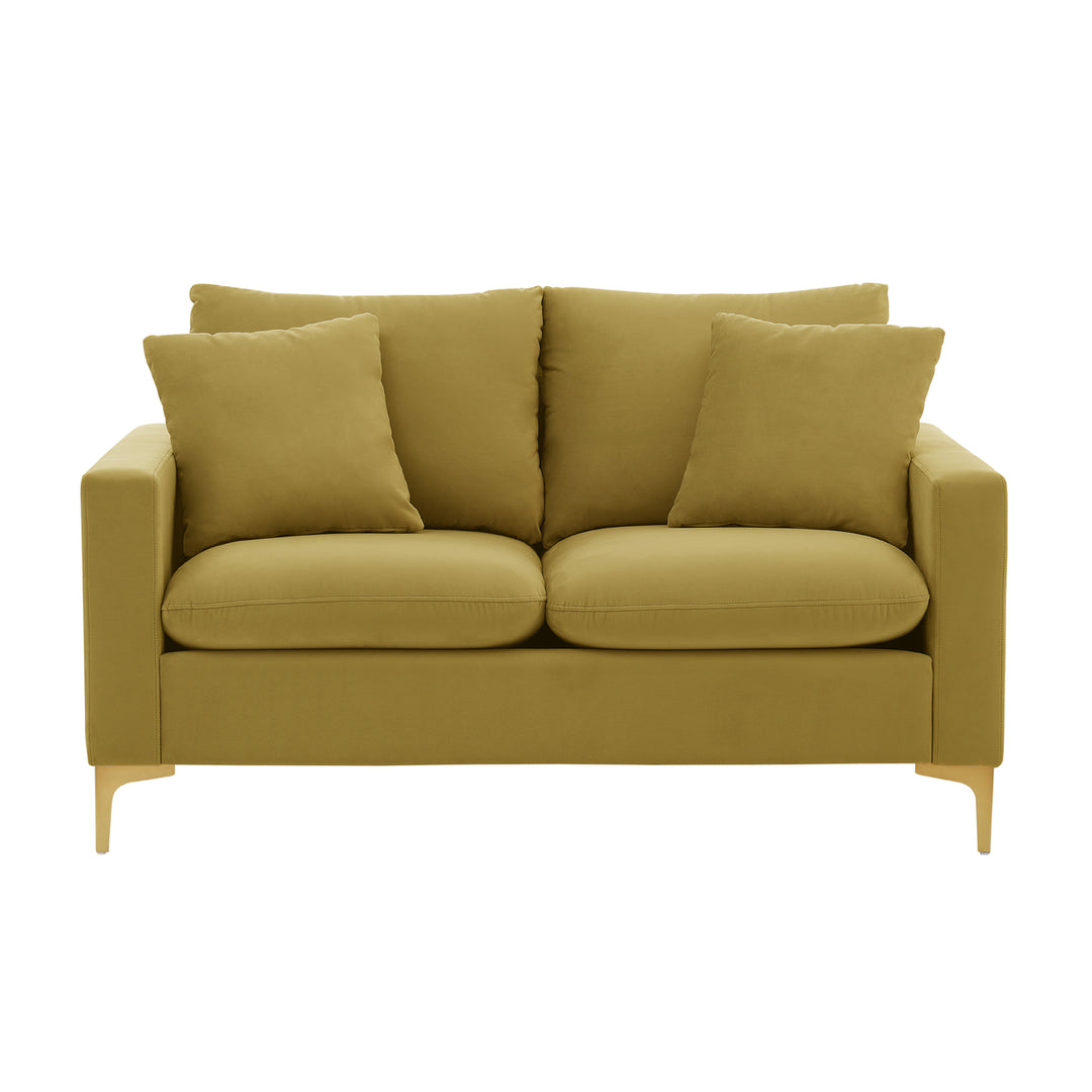 Iconic Home Roxi Loveseat Velvet Upholstered Multi-Cushion Seat Gold Tone Metal Y-Legs with 2 Decorative Pillows Image 6