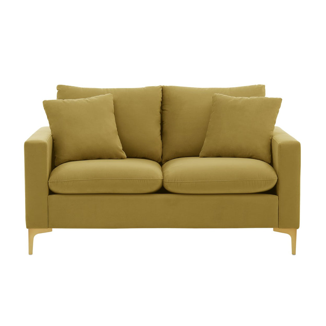 Iconic Home Roxi Loveseat Velvet Upholstered Multi-Cushion Seat Gold Tone Metal Y-Legs with 2 Decorative Pillows Image 1