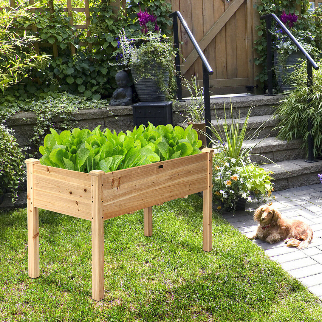 Wooden Raised Vegetable Garden Bed Elevated Grow Vegetable Planter Image 2