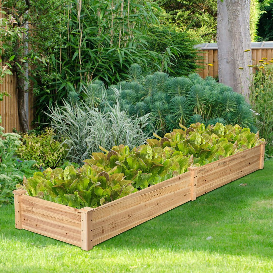 Wooden Vegetable Raised Garden Bed Backyard Patio Grow Flowers Planter Image 2