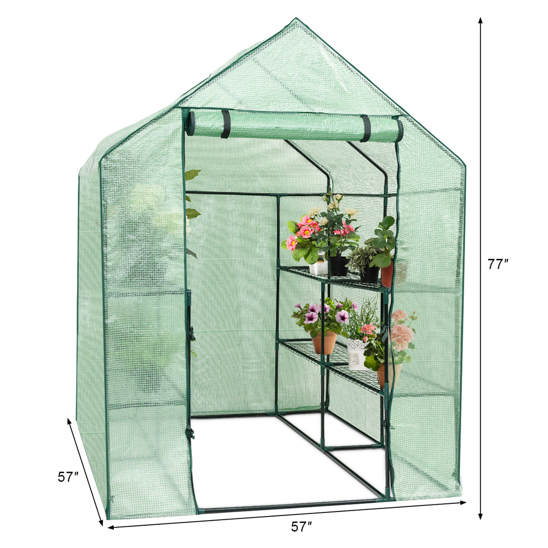 Portable Mini Walk In Outdoor 2 Tier 8 Shelves Greenhouse Image 2