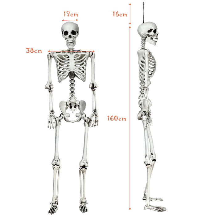 5.4ft Halloween Skeleton Life Size Realistic Full Body Hanging w/ Movable Joints Image 2