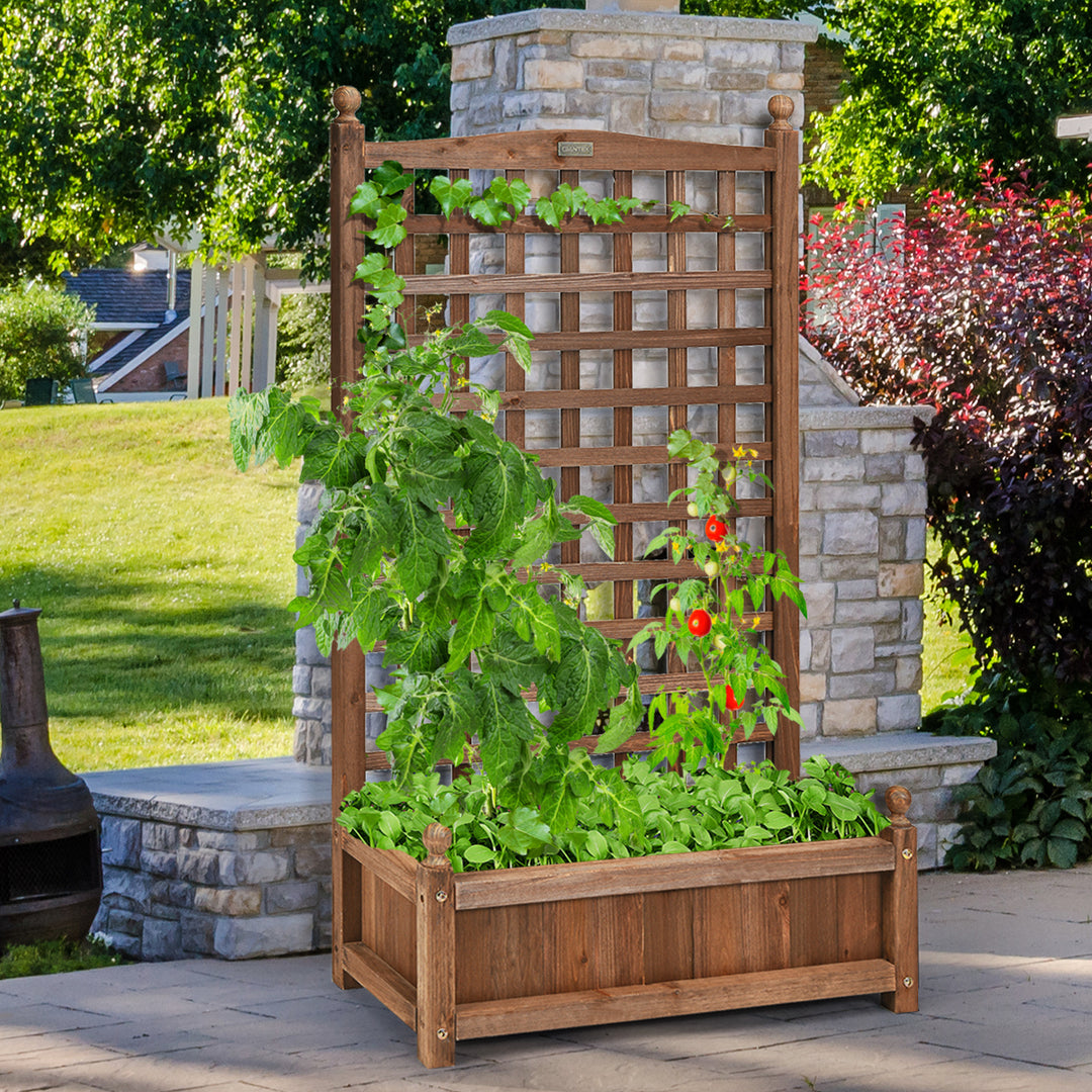 Solid Wood Planter Box with Trellis Weather-Resistant Outdoor 25x11x48 Image 2