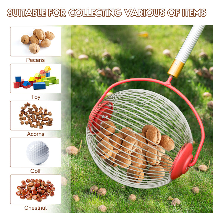 Medium Rolling Nut Gatherer Picks up Balls Nuts and Other Objects 1 to 3 in Size Image 3