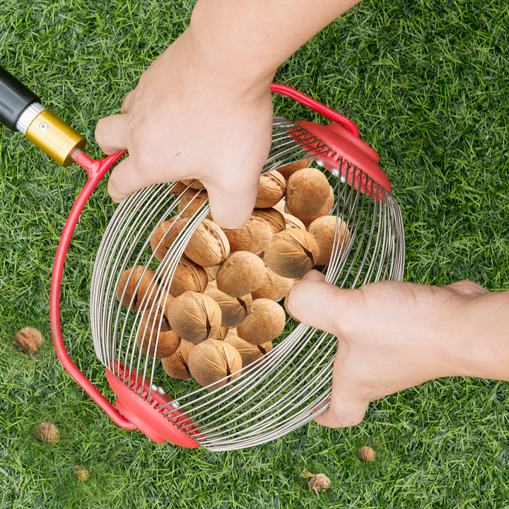 Medium Rolling Nut Gatherer Picks up Balls Nuts and Other Objects 1 to 3 in Size Image 4