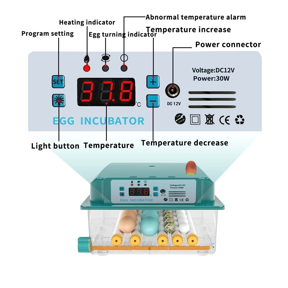 6 Eggs Incubator Egg Incubator Fully Automatic Incubator Household Brooder Temperature Controller with Automatic Turner Image 5