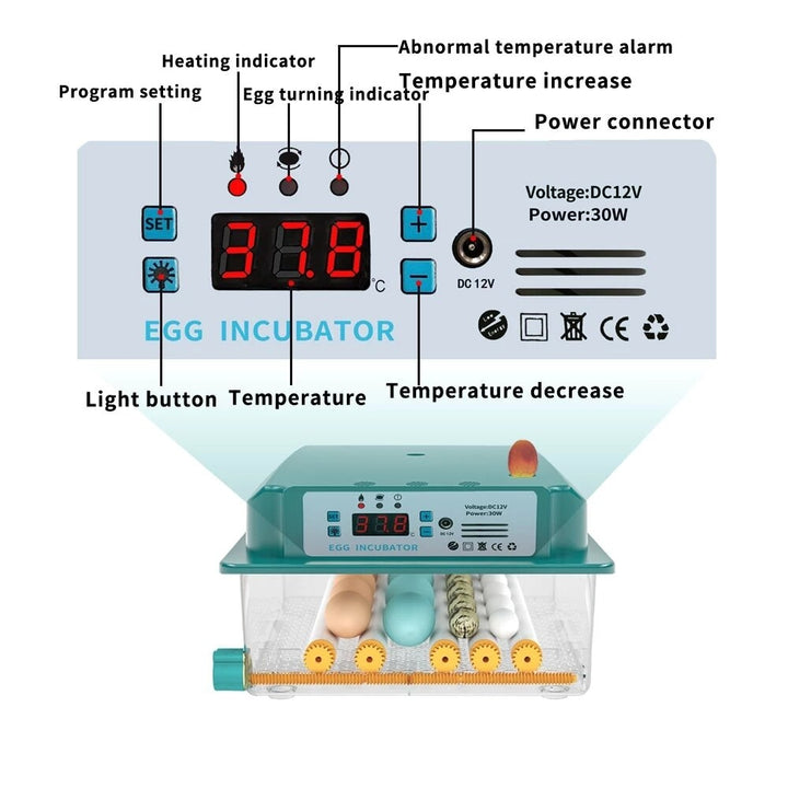 6 Eggs Incubator Egg Incubator Fully Automatic Incubator Household Brooder Temperature Controller with Automatic Turner Image 5