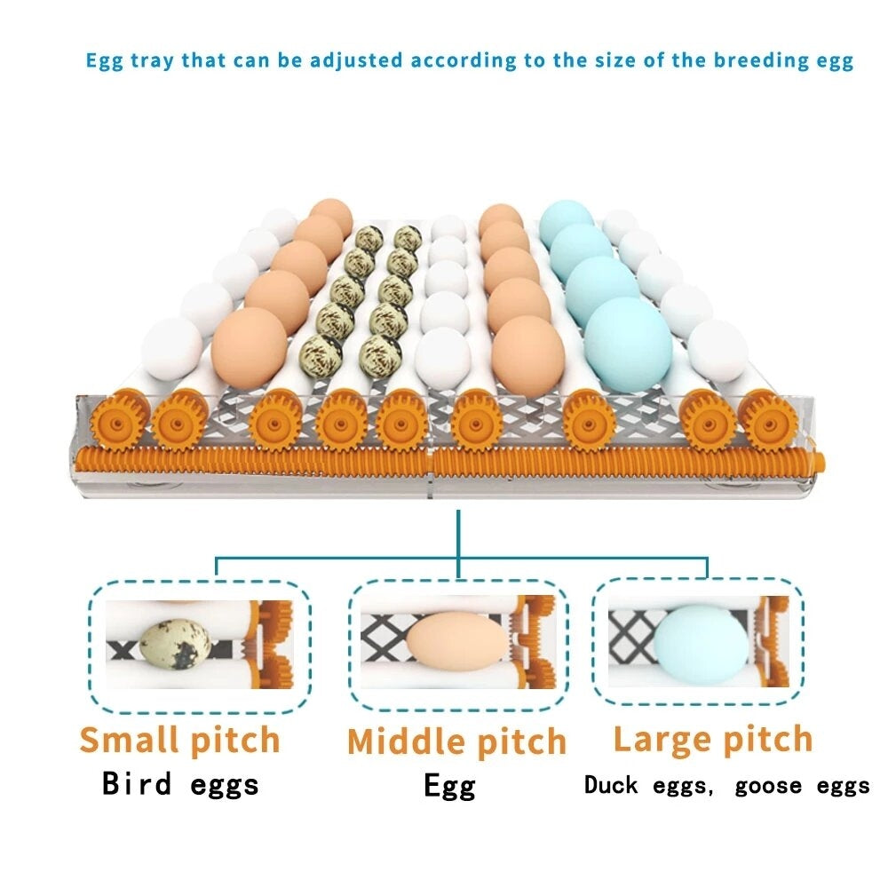 6 Eggs Incubator Egg Incubator Fully Automatic Incubator Household Brooder Temperature Controller with Automatic Turner Image 6