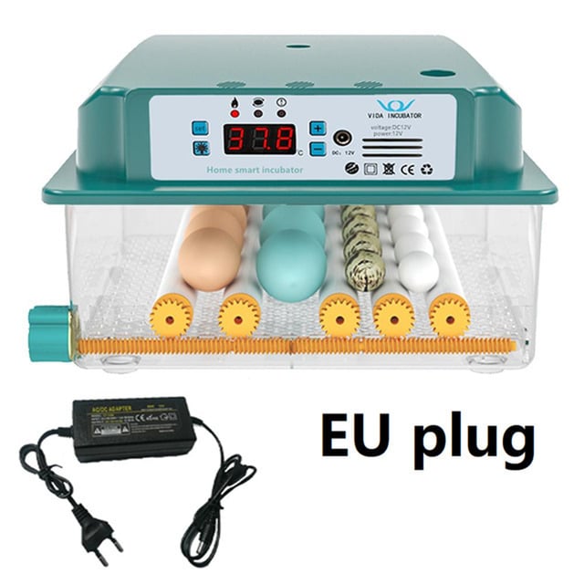 6 Eggs Incubator Egg Incubator Fully Automatic Incubator Household Brooder Temperature Controller with Automatic Turner Image 7