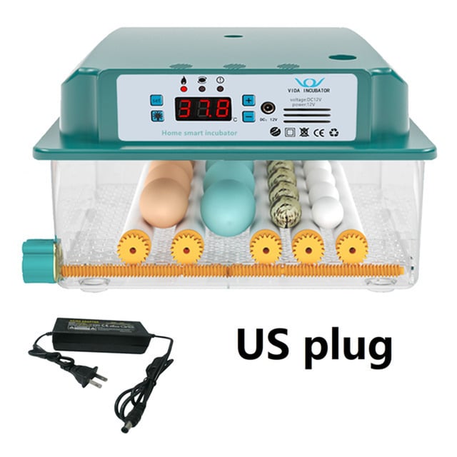 6 Eggs Incubator Egg Incubator Fully Automatic Incubator Household Brooder Temperature Controller with Automatic Turner Image 8