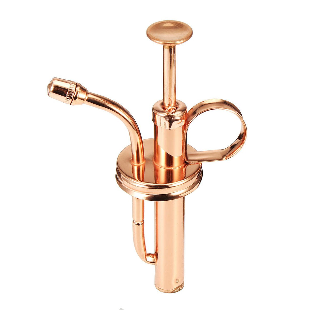 300mL Mini Brass Home Plant Mister Plunger Flower Water Spray Bottle Potted Spraying Watering Can Decorations Image 5