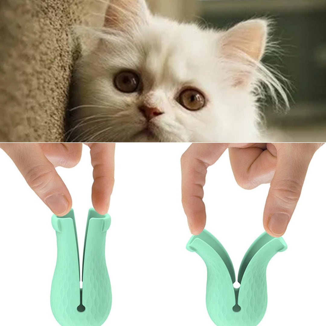 4pcs,set Anti-Scratch Cat Foot Shoes Silicone Pet Grooming Claws Cover Image 8