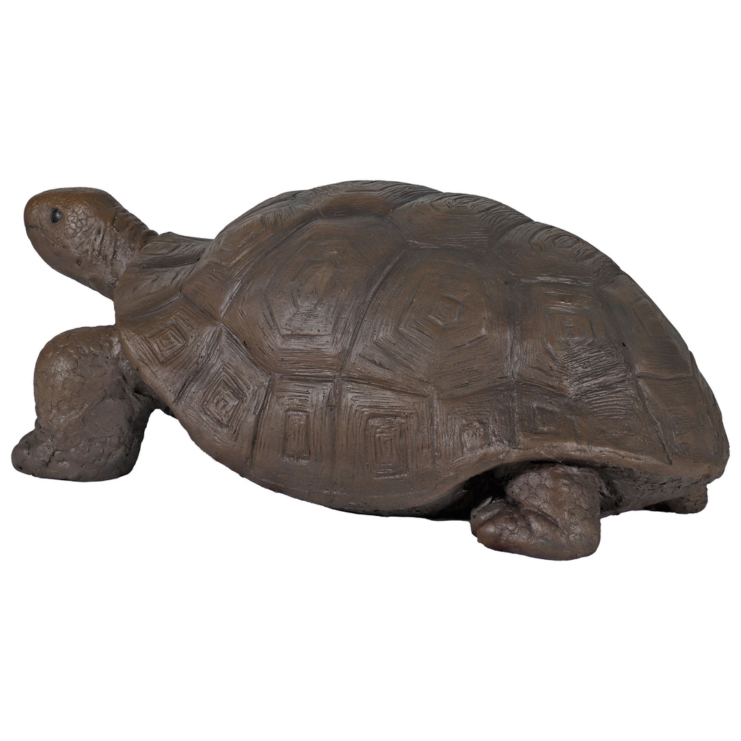 Sunnydaze Talia the Tortoise Indoor/Outdoor Garden Statue - 12 in Image 9