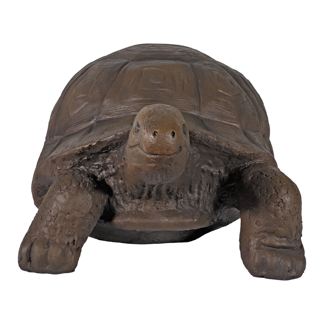 Sunnydaze Talia the Tortoise Indoor/Outdoor Garden Statue - 12 in Image 7