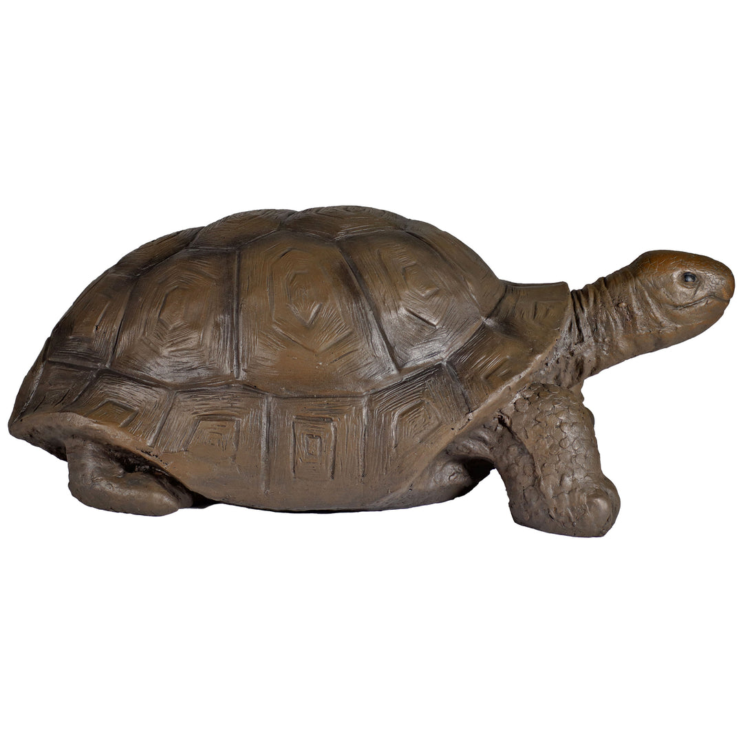 Sunnydaze Talia the Tortoise Indoor/Outdoor Garden Statue - 12 in Image 8