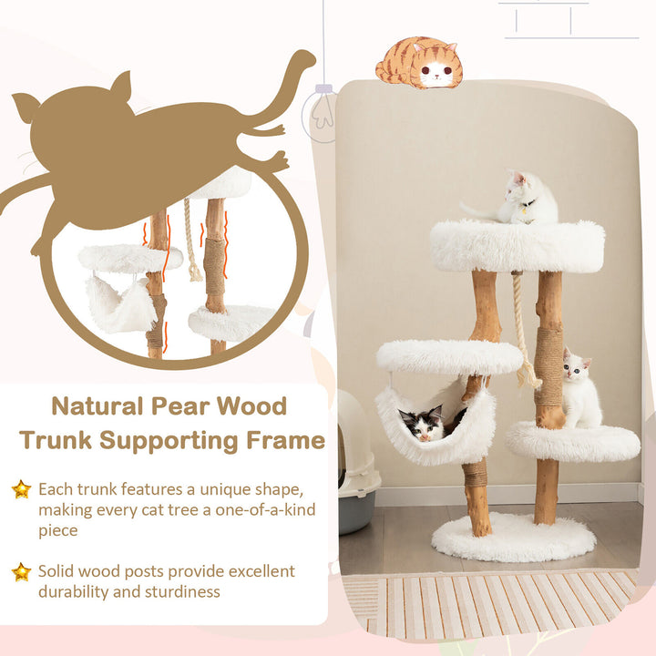 34 Tall Wooden Cat Tree Solid Wood Cat Tower with Jute Scratching Posts Image 9