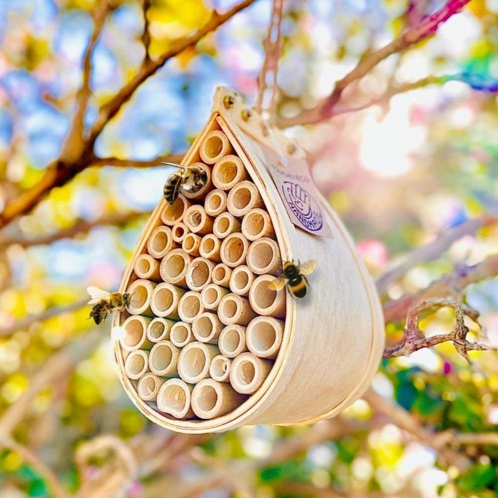 Pollinating Palace Eco-Friendly Wood Bee Butterfly Bird House Handmade 3 Styles Image 3