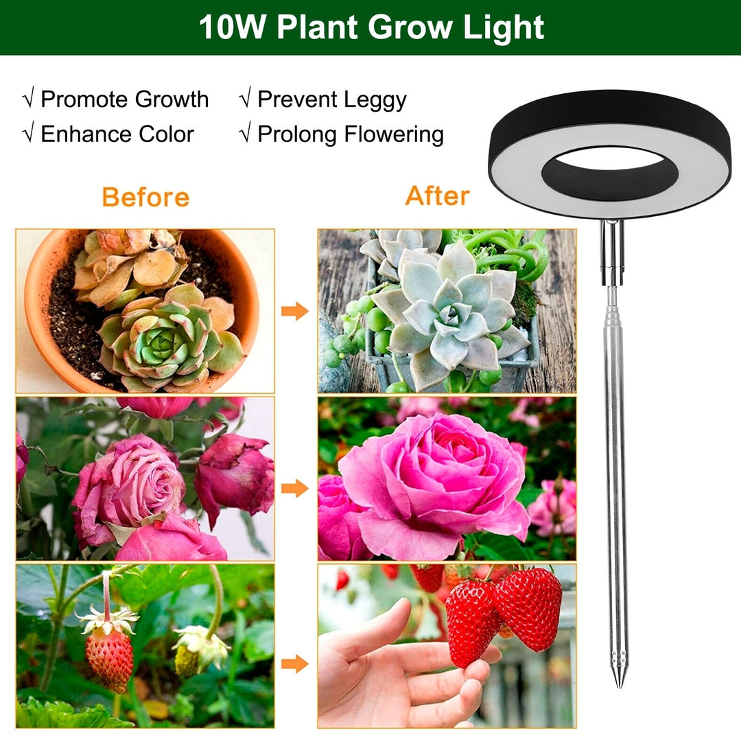 Plant Grow Light LED Full Spectrum Adjustable Height with Auto Timer 9 Brightness Image 4