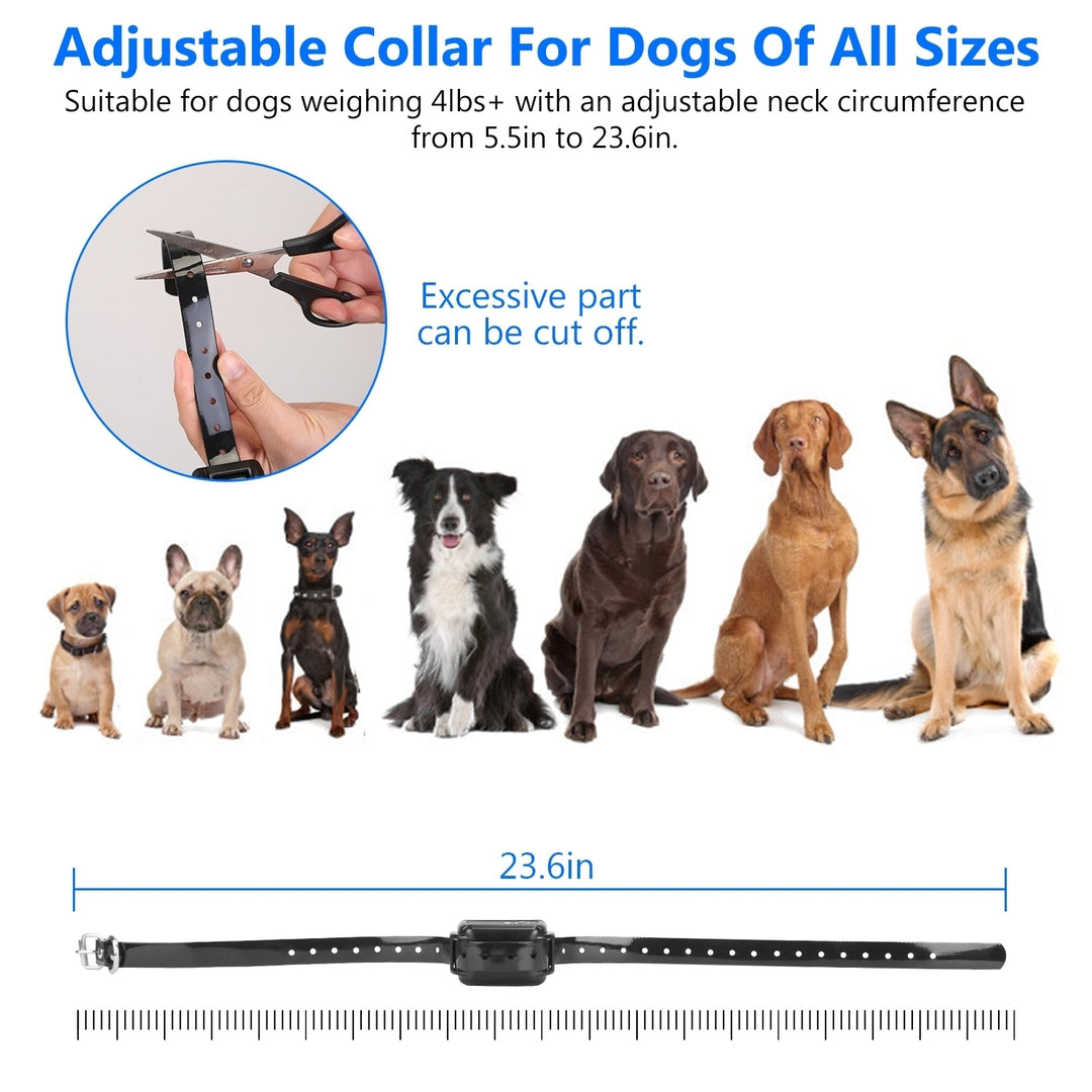 Electric Dog Training Collar Rechargeable Waterproof Adjustable Shock for Dogs Image 5