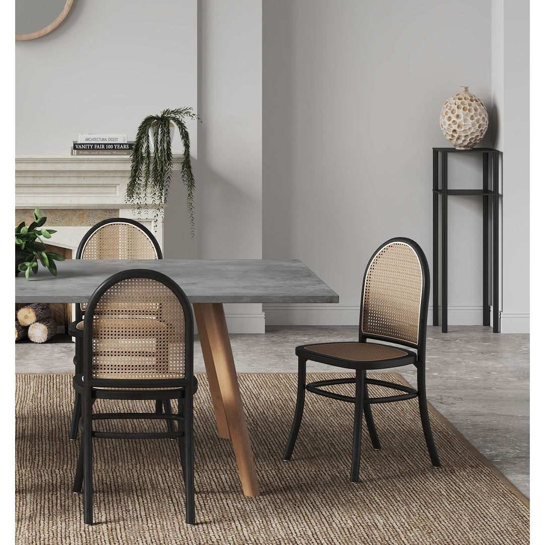 Paragon Dining Chair 2.0 and Cane - Set of 2 Image 2
